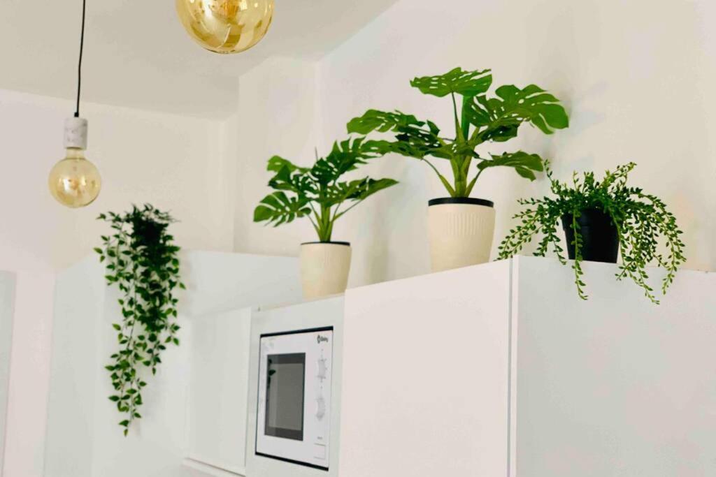 Roof Top Luxury City Center Apartment By Namaste Elite Torremolinos Exteriör bild